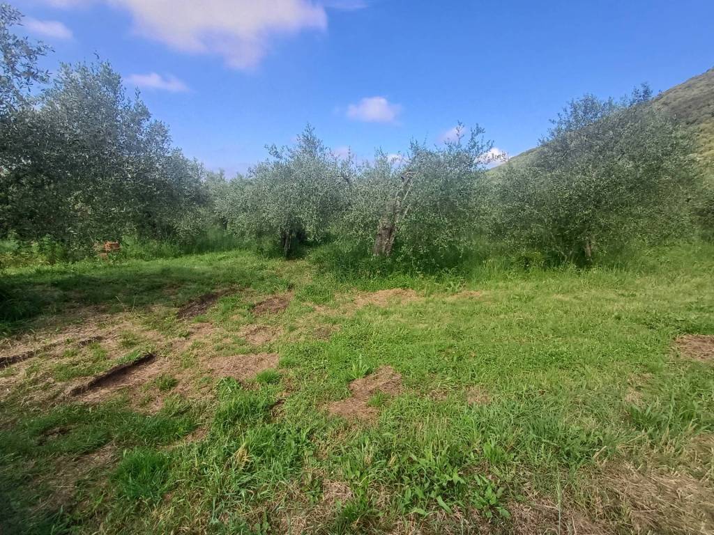 Terreno a San giuliano terme in via dei santi vecchi - Foto 2