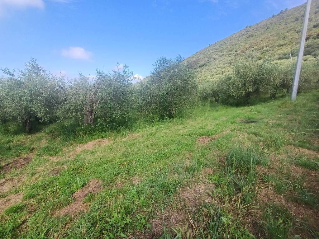Terreno a San giuliano terme in via dei santi vecchi - Foto 3