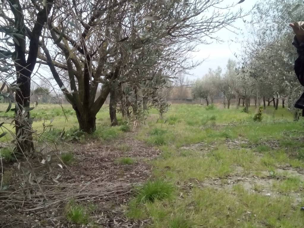 Terreno a San giuliano terme in via martiri della liberazione - Foto 4
