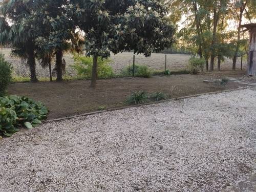 Villetta a schiera a Casale sul sile - Foto 3