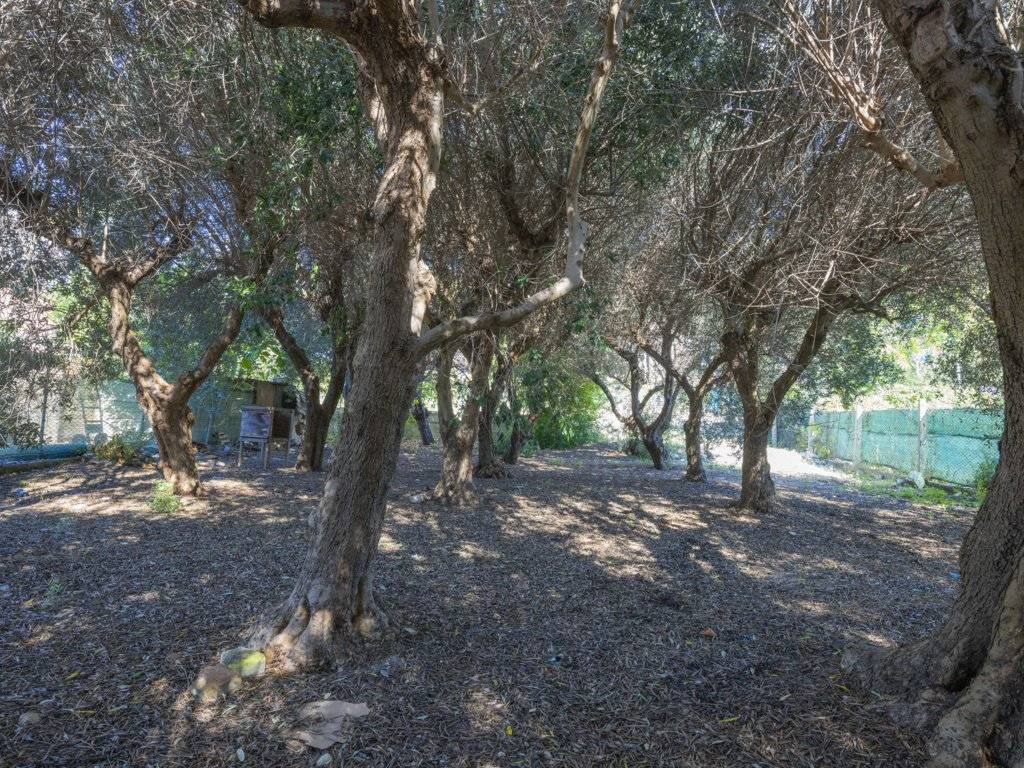 Rustico / casale a Sirolo in Via la Forma - Foto 3