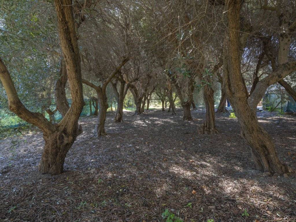 Rustico / casale a Sirolo in Via la Forma - Foto 4