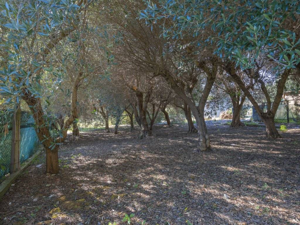 Rustico / casale a Sirolo in Via la Forma - Foto 5