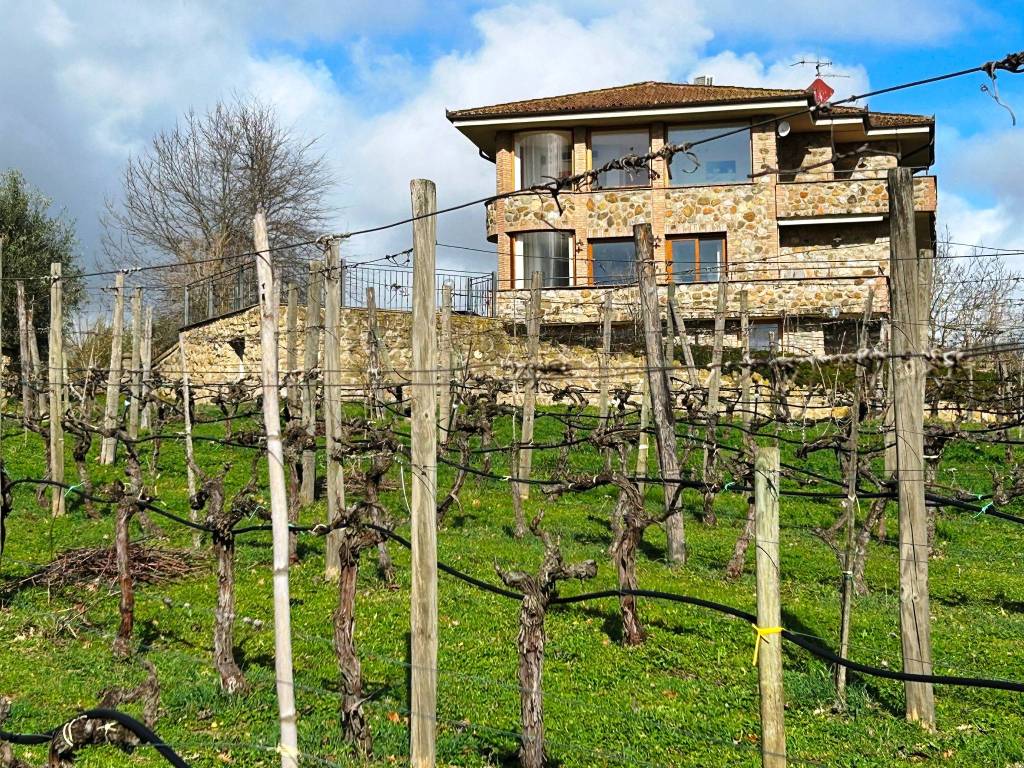 Villa a Bolsena - Foto 4