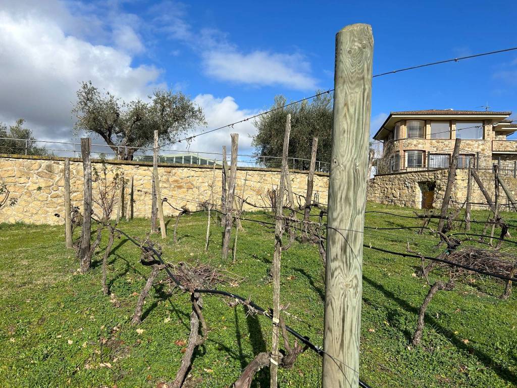 Villa a Bolsena - Foto 5