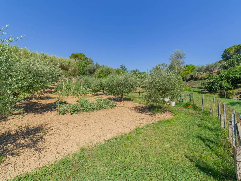 Palazzo / stabile a Silvi in Contrada Santo Stefano, 137 - Foto 5