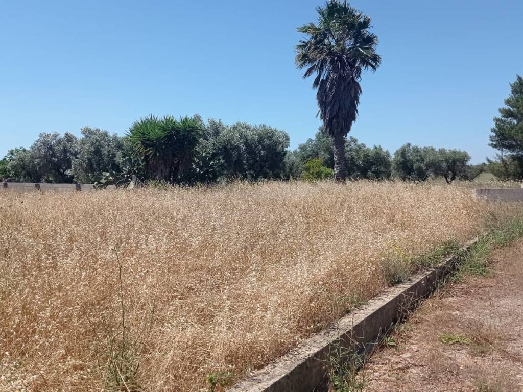 Rustico / casale a Montesano salentino in Via Tricase - Foto 3