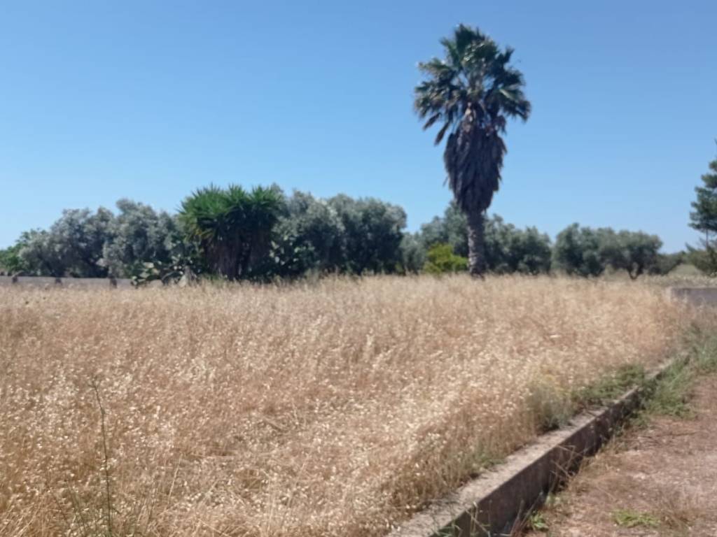 Rustico / casale a Montesano salentino in Via Tricase - Foto 4