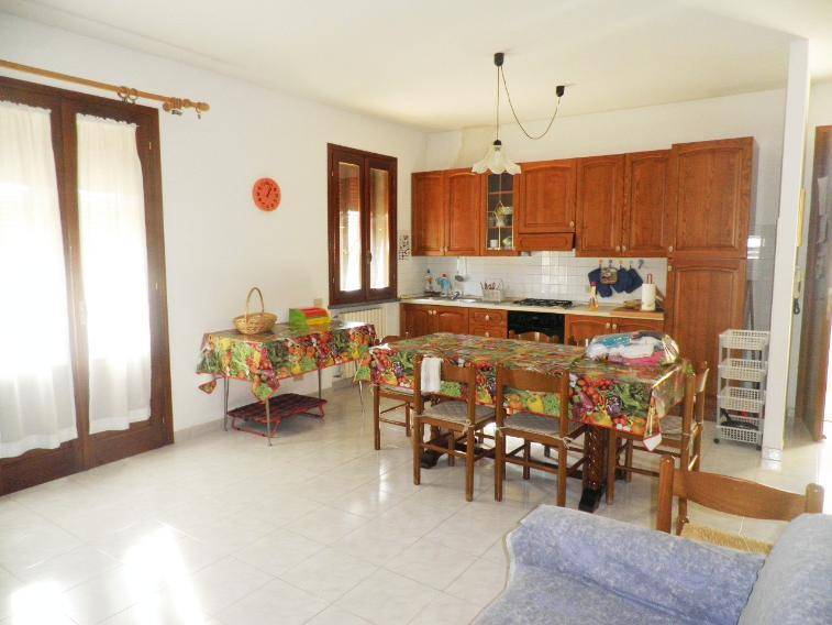 Appartamento a Rosignano marittimo - Foto 4