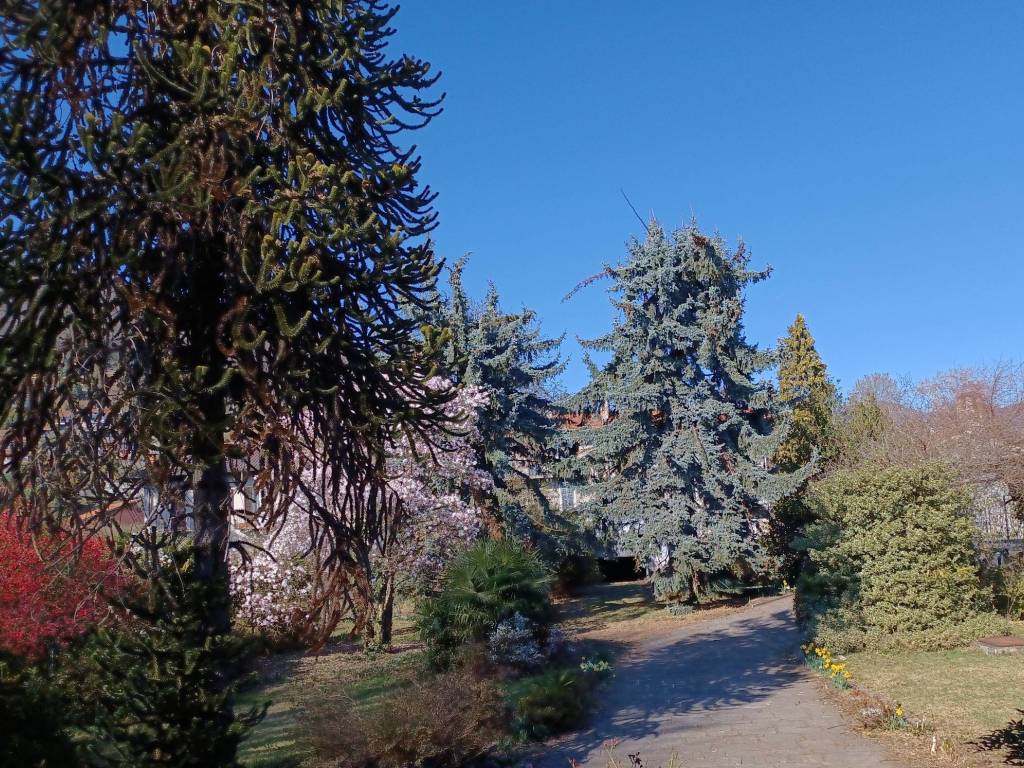 Villa a Verbania in Via Crocetta, 51 - Foto 2