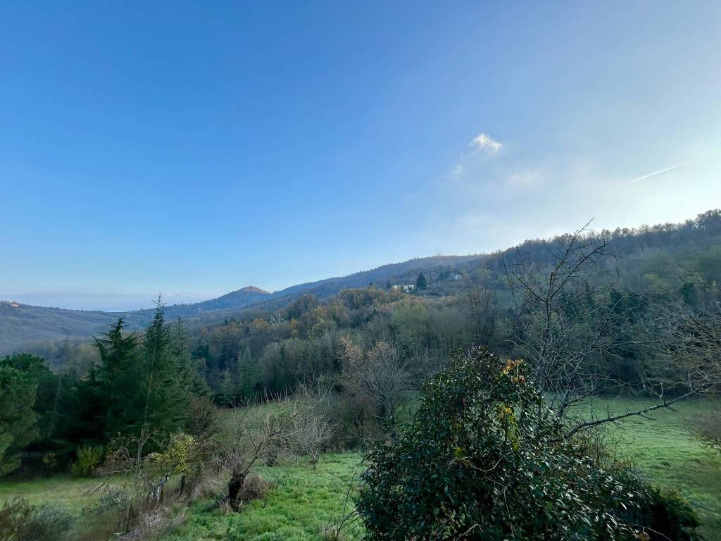 Casa indipendente a Grognardo in Frazione Val d'Orgero - Foto 5