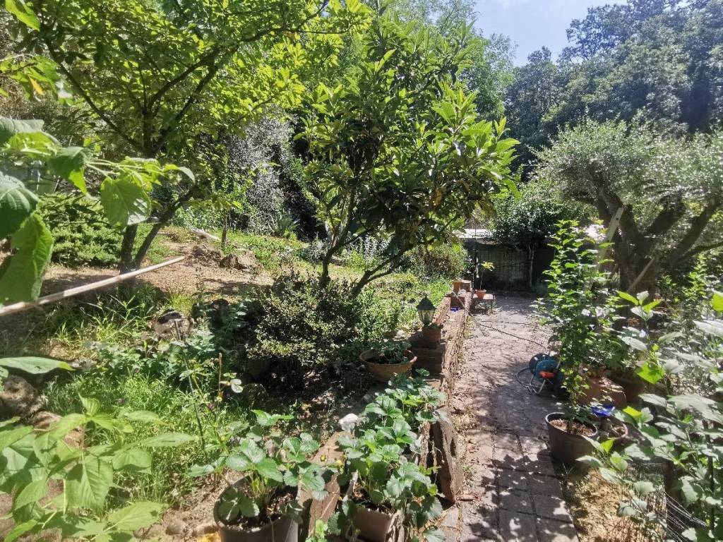 Rustico / casale a Lamporecchio in Via Greppiano - Foto 4