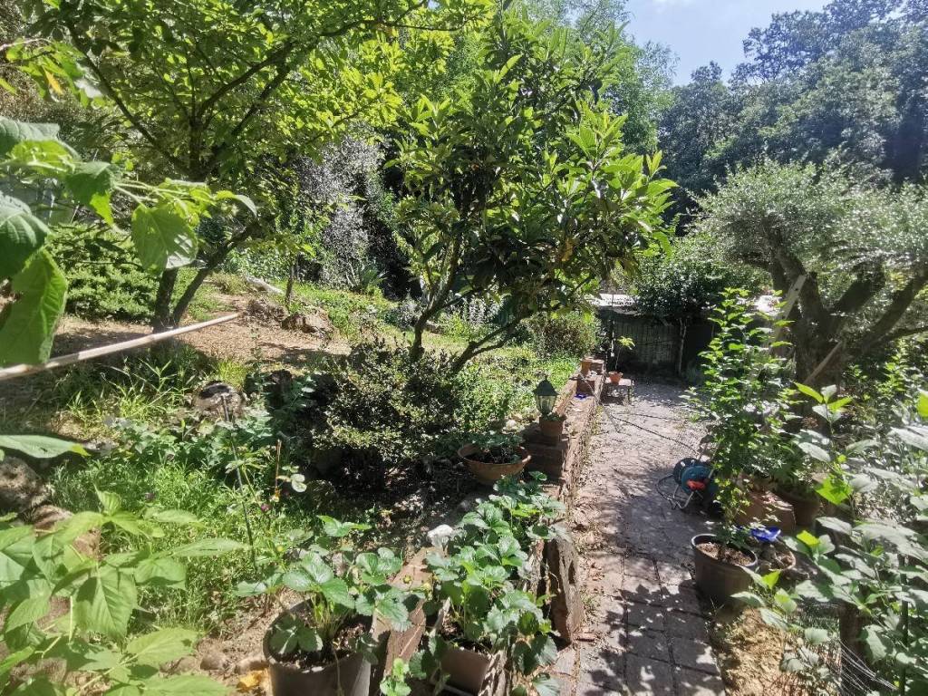 Rustico / casale a Lamporecchio in Via Greppiano - Foto 5