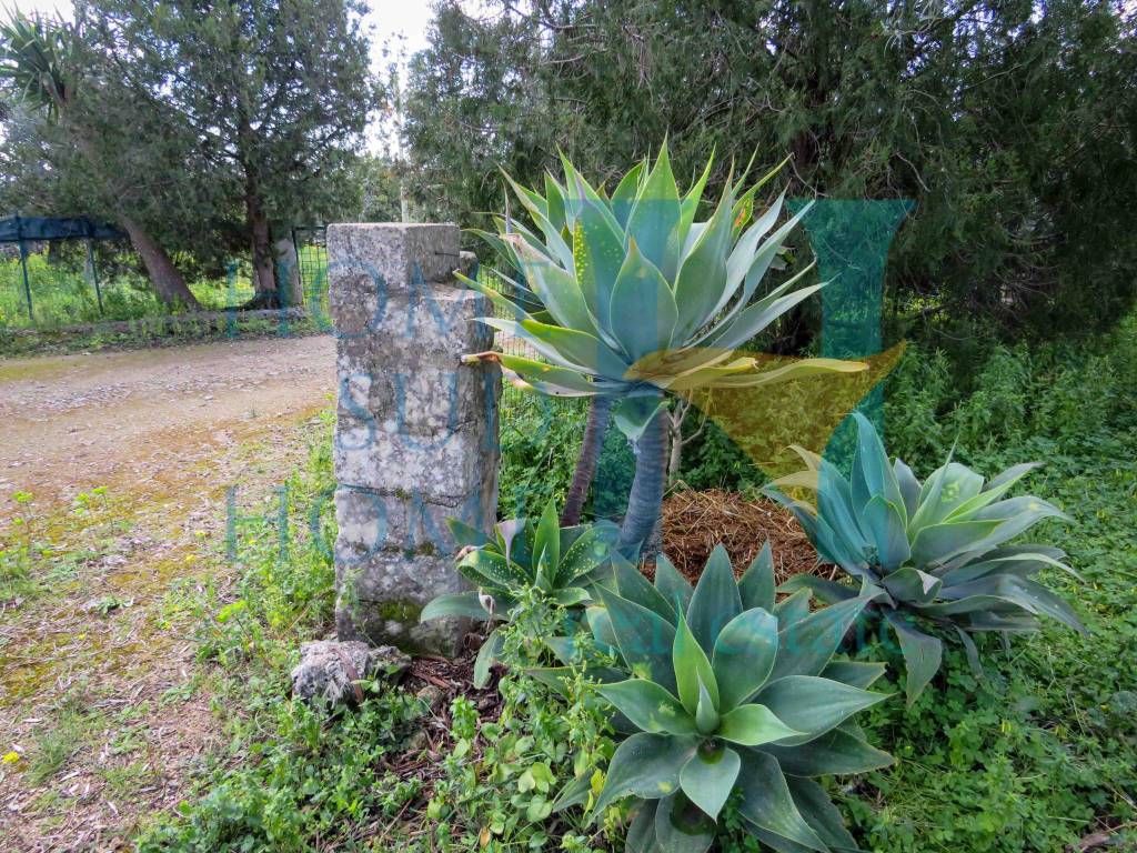 Villa a Noto in Via Tommaso Fazello, 228 - Foto 3