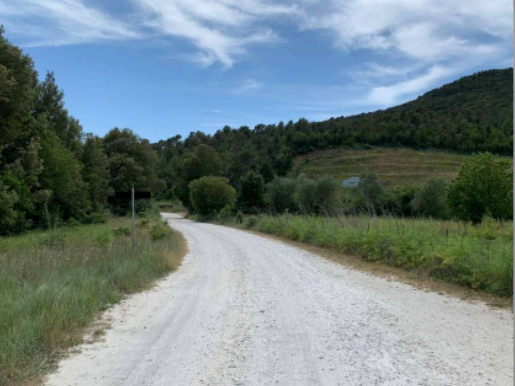 Terreno a Rosignano marittimo in Località Bottone - Foto 2