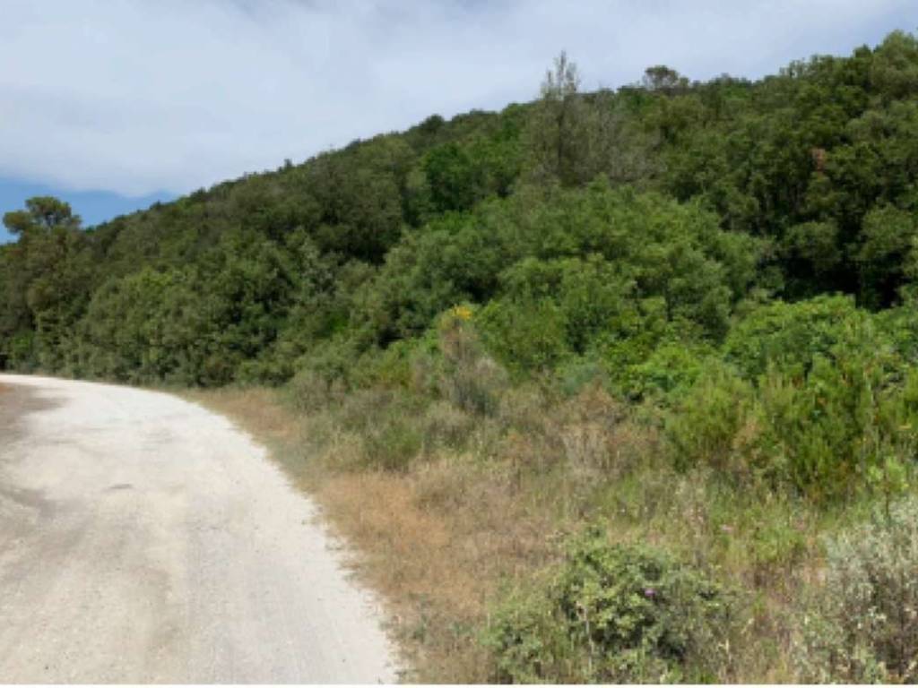 Terreno a Rosignano marittimo in Località Bottone - Foto 3