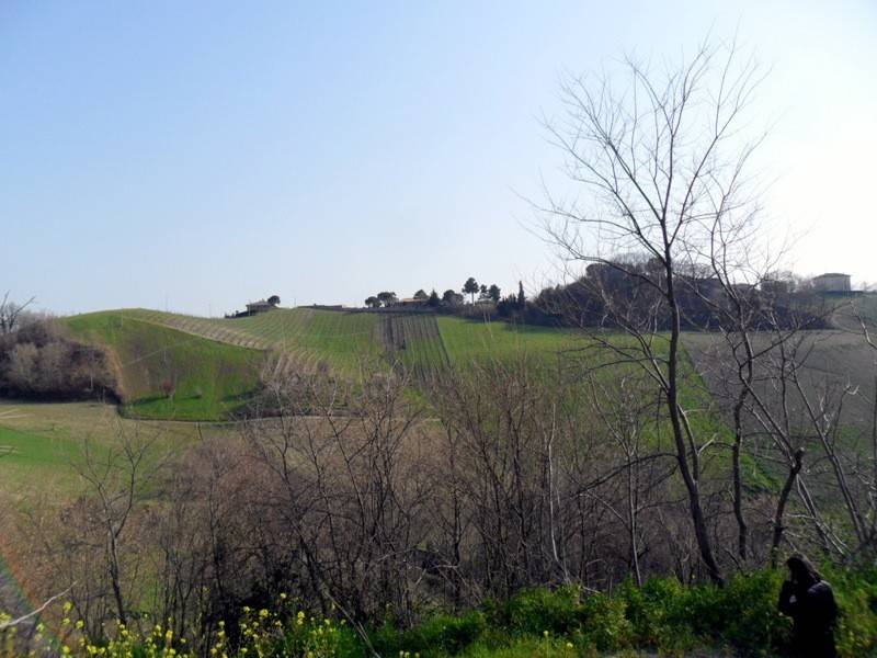 Rustico / casale a Ripatransone in Contrada Magnola - Foto 2