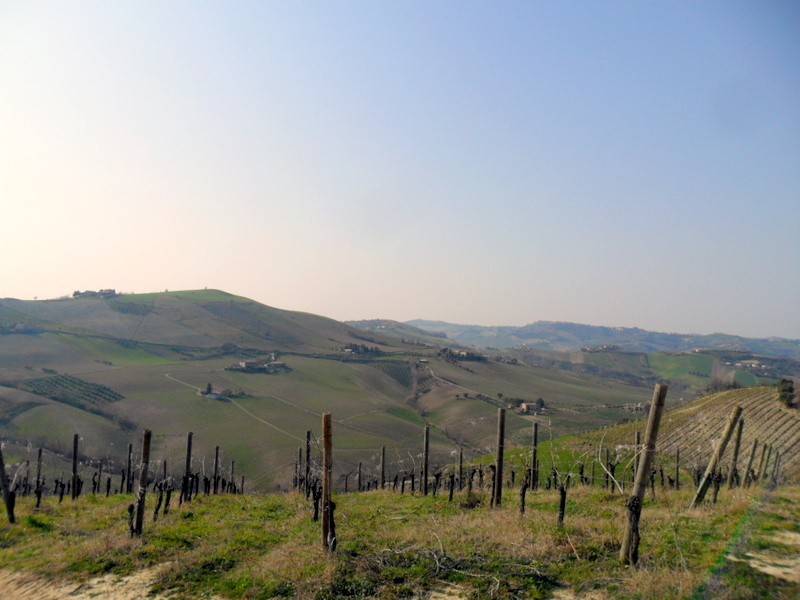Rustico / casale a Ripatransone in Contrada Magnola - Foto 4
