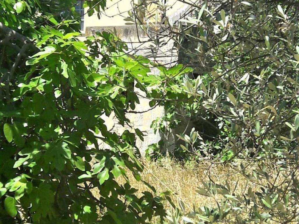 Rustico / casale a Colonnella in Contrada Civita - Foto 4