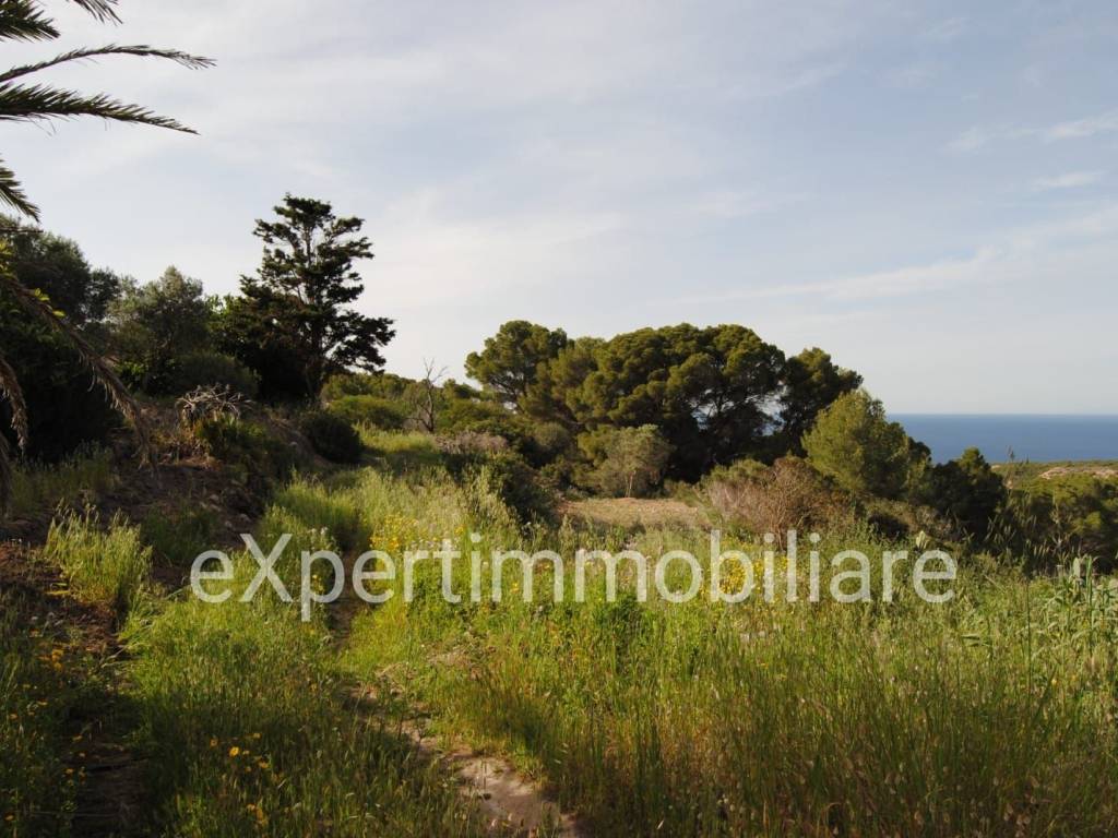 Villa a Carloforte - Foto 5