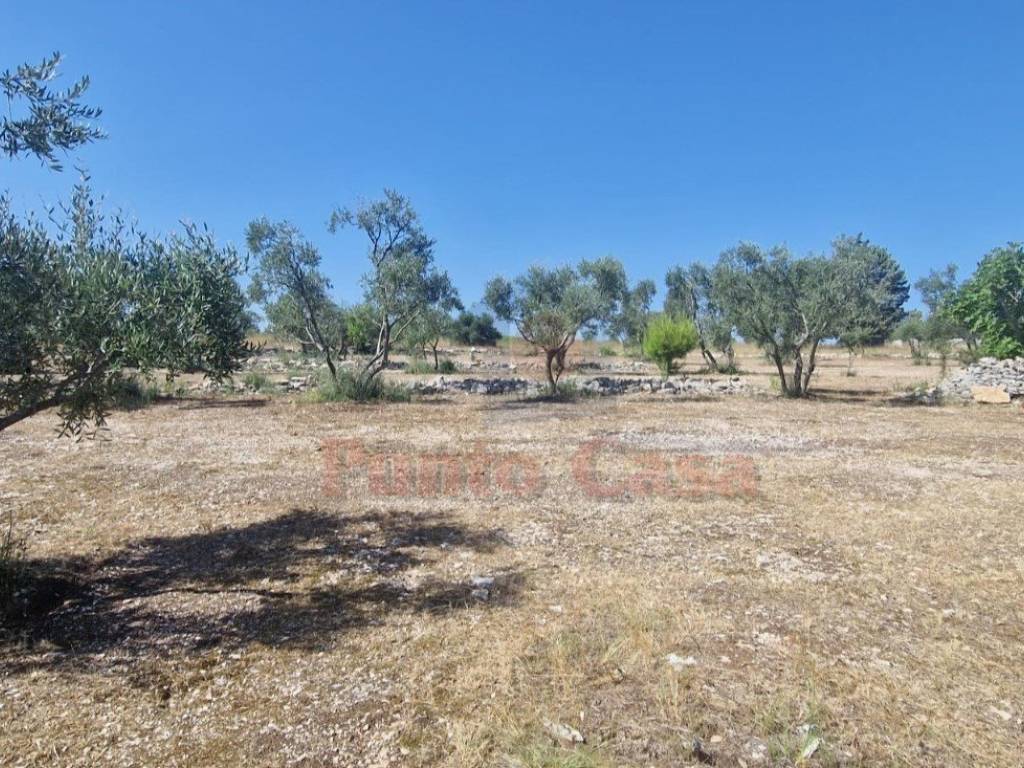 Rustico / casale a Andria - Foto 5
