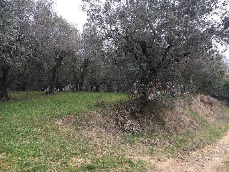 Terreno a Monteprandone in Vicolo Matteotti Secondo - Foto 3