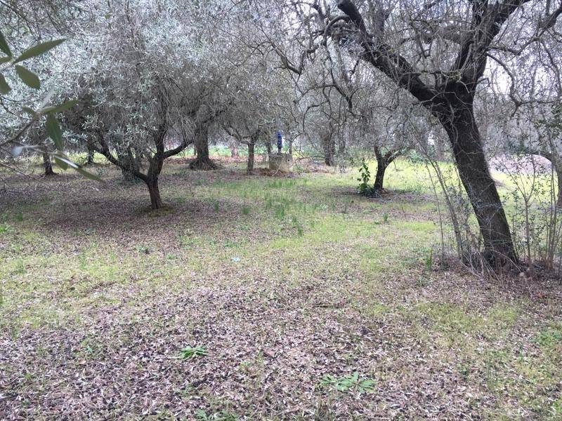 Terreno a Monteprandone in Vicolo Matteotti Secondo - Foto 4