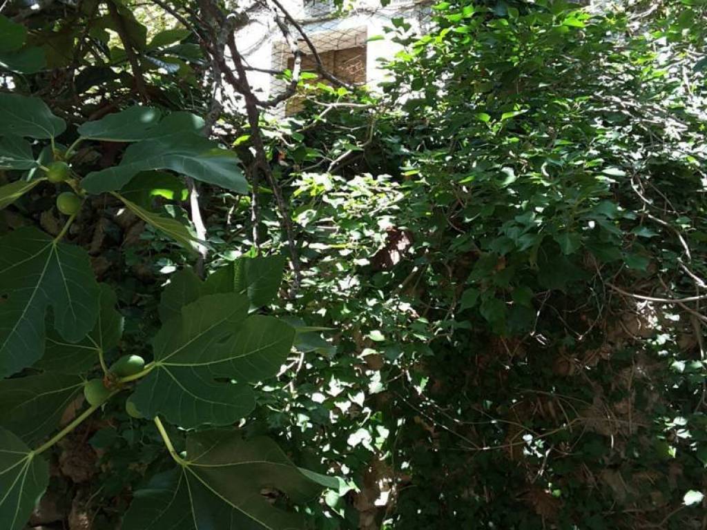 Villa a Cupra marittima - Foto 3