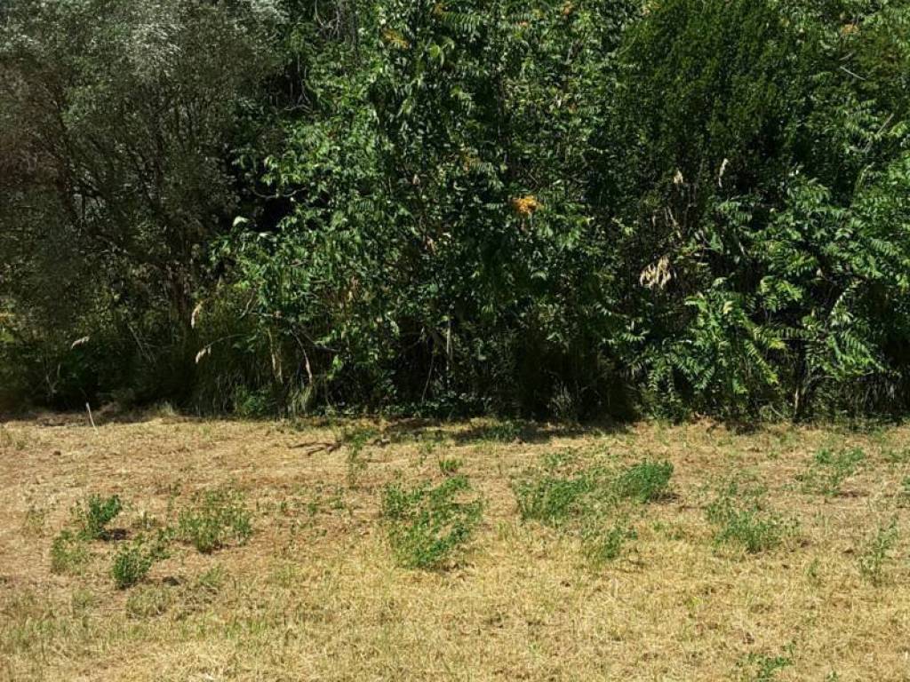 Villa a Cupra marittima - Foto 5