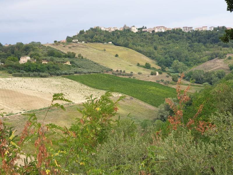 Terreno a Carassai - Foto 2