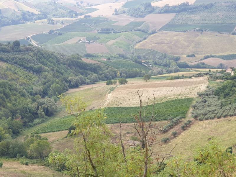 Terreno a Carassai - Foto 3