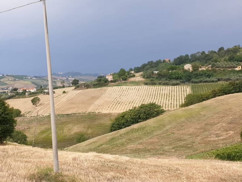 Terreno a Carassai - Foto 5