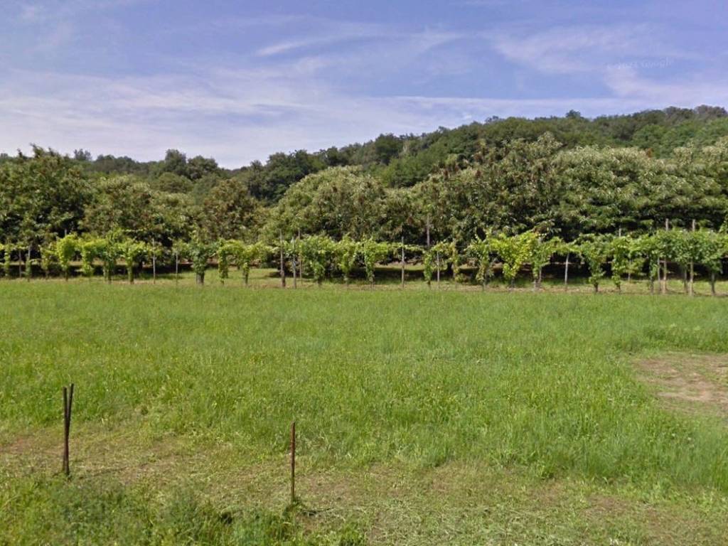 Terreno a Dorzano - Foto 3