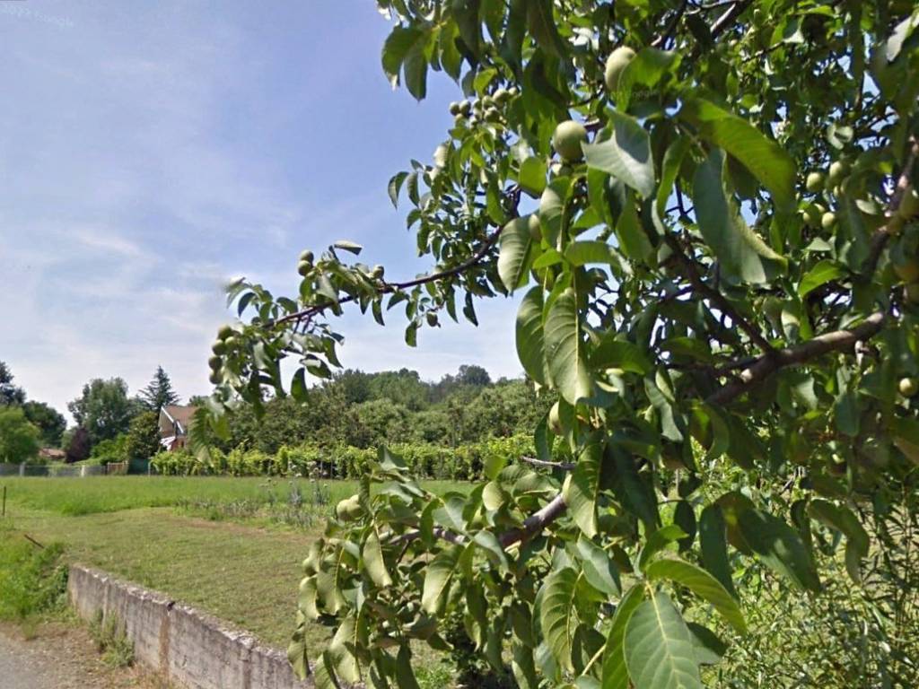 Terreno a Dorzano - Foto 4