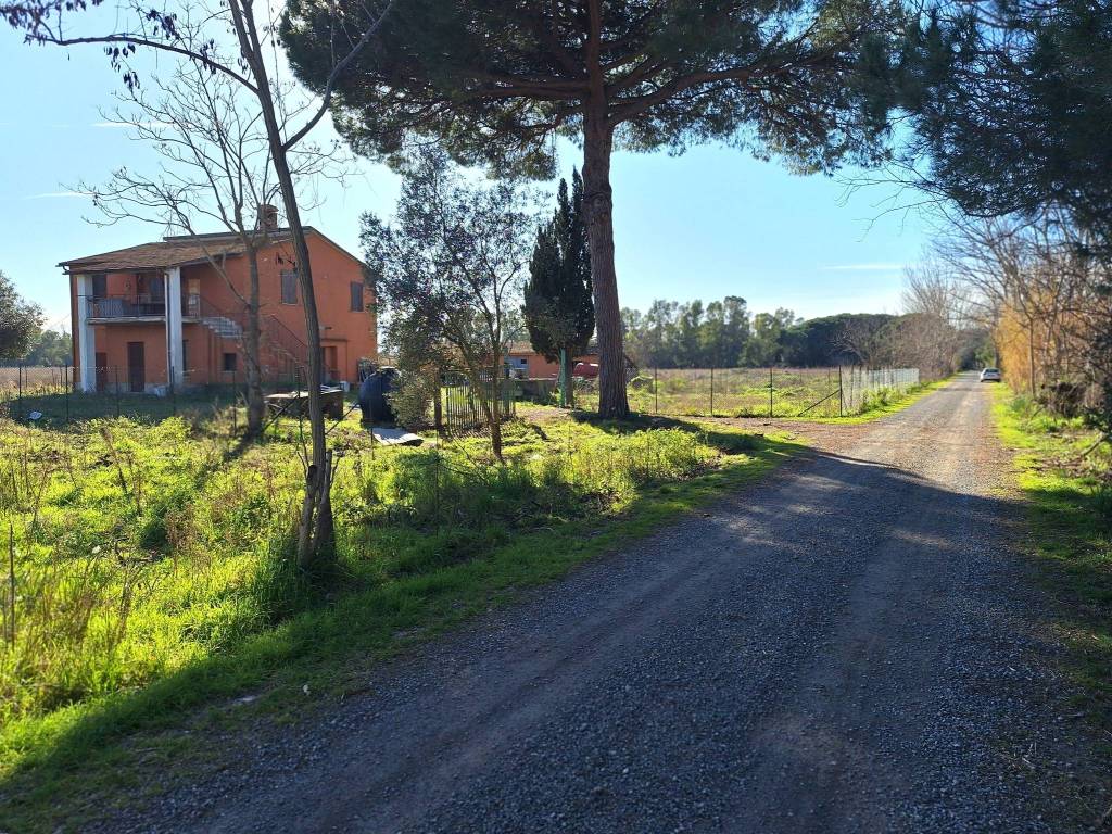 Rustico / casale a Orbetello in Strada Vicinale Patanella - Foto 4