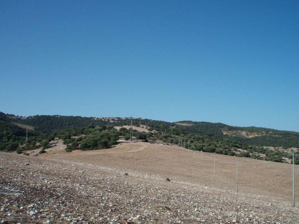 Terreno a Mattinata in Litoranea Mattinata-Vieste - Foto 5