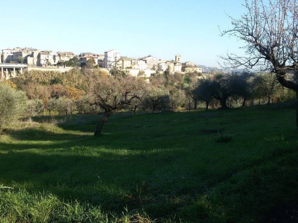 Terreno a Appignano del tronto - Foto 3