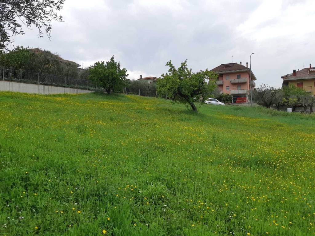 Terreno a Appignano del tronto - Foto 4