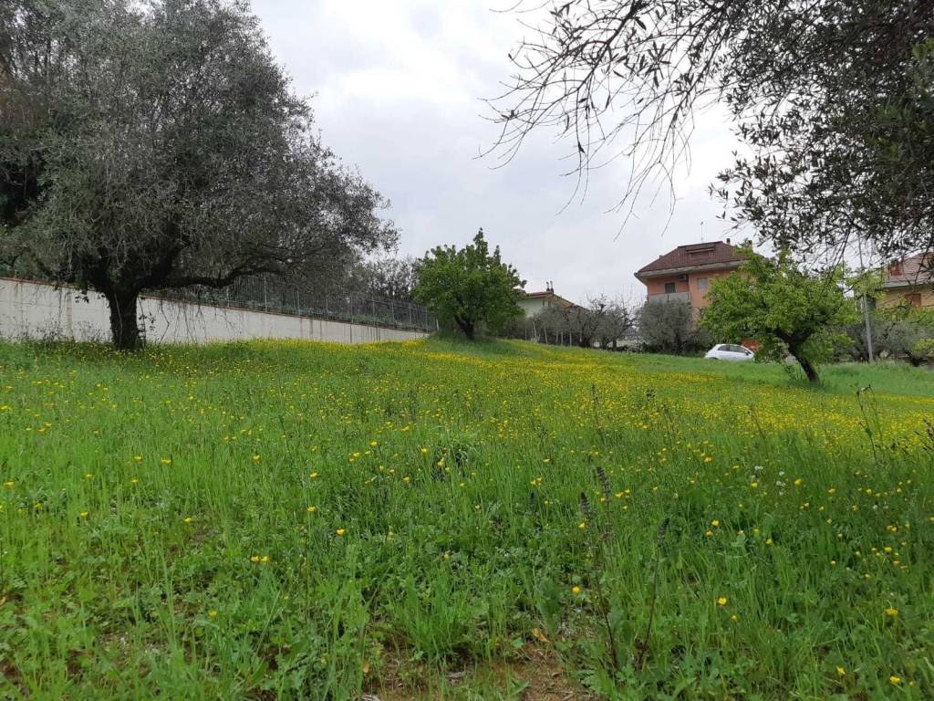 Terreno a Appignano del tronto - Foto 5