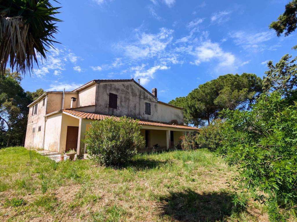 Rustico / casale a Magliano in toscana - Foto 2