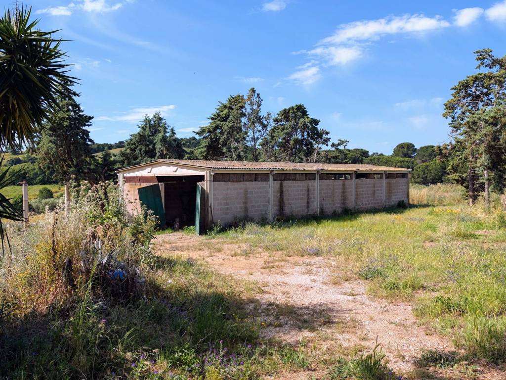 Rustico / casale a Magliano in toscana - Foto 5