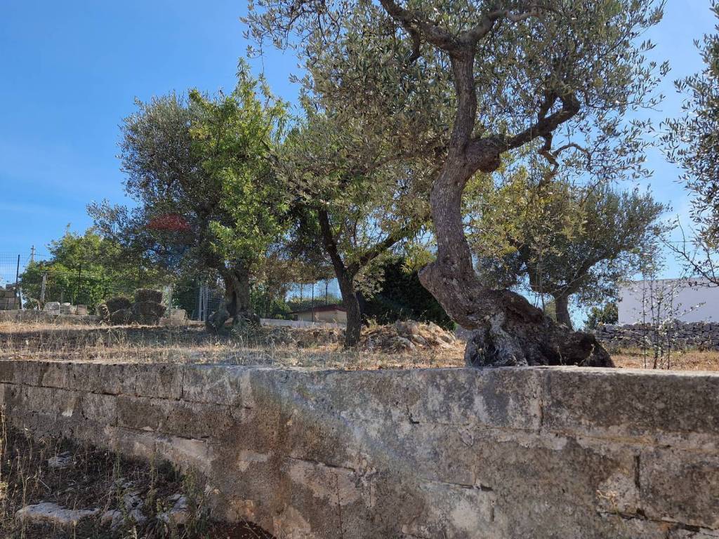 Rustico / casale a Cisternino in Contrada Lamacesare, 31 - Foto 4