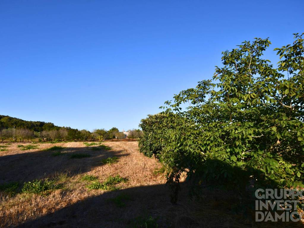 Terreno a Cisternino in Contrada Restano - Foto 4