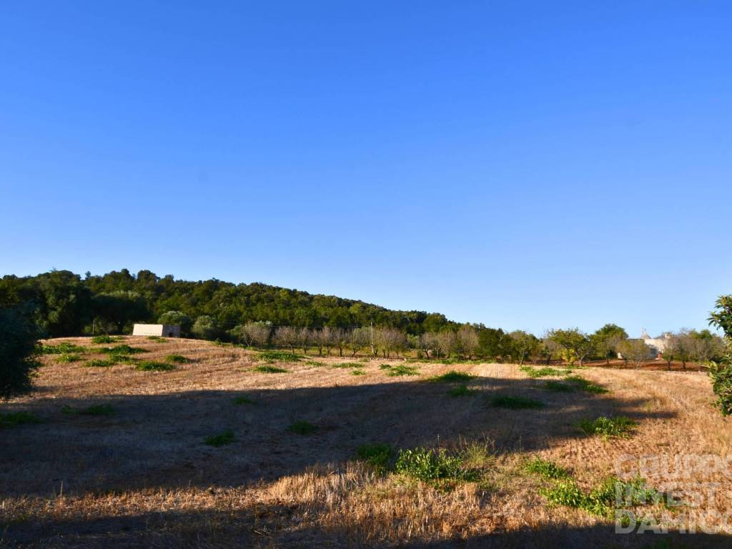 Terreno a Cisternino in Contrada Restano - Foto 5