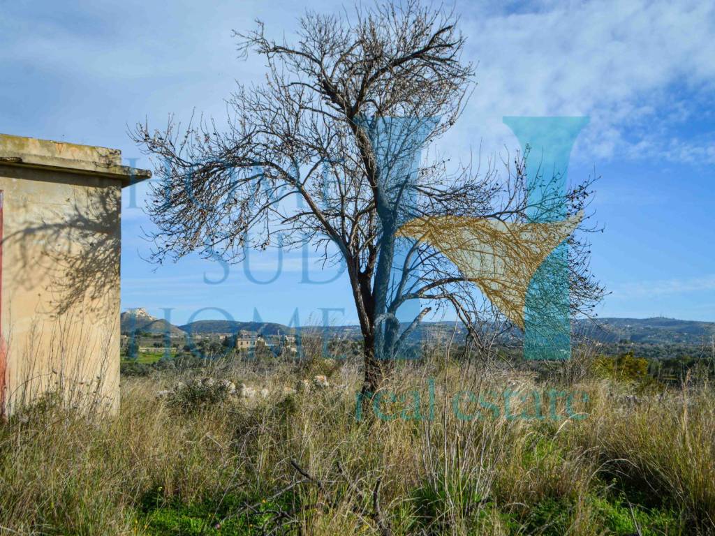 Terreno a Noto in Via Tommaso Fazello, 228 - Foto 4