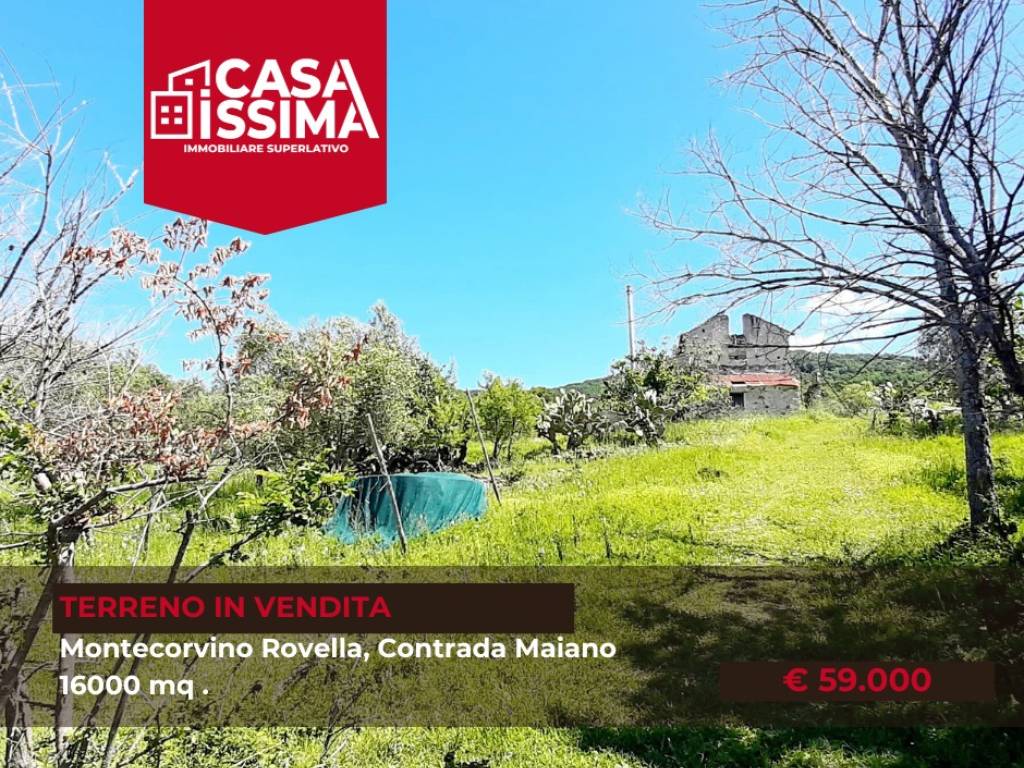 Terreno a Montecorvino rovella in contrada maiano - Foto 3