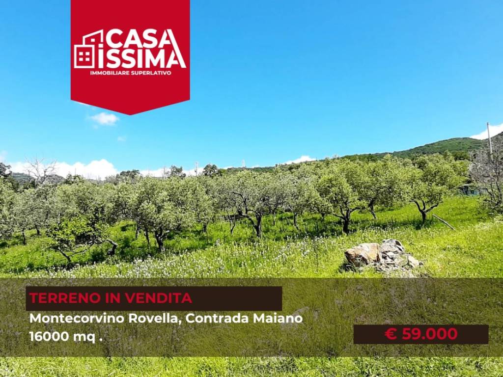 Terreno a Montecorvino rovella in contrada maiano - Foto 4