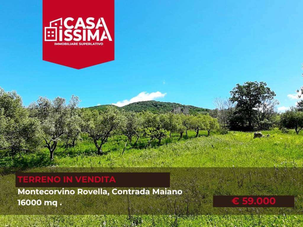 Terreno a Montecorvino rovella in contrada maiano - Foto 5
