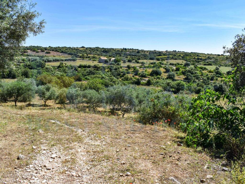 Rustico / casale a Noto in Via Tommaso Fazello, 228 - Foto 3