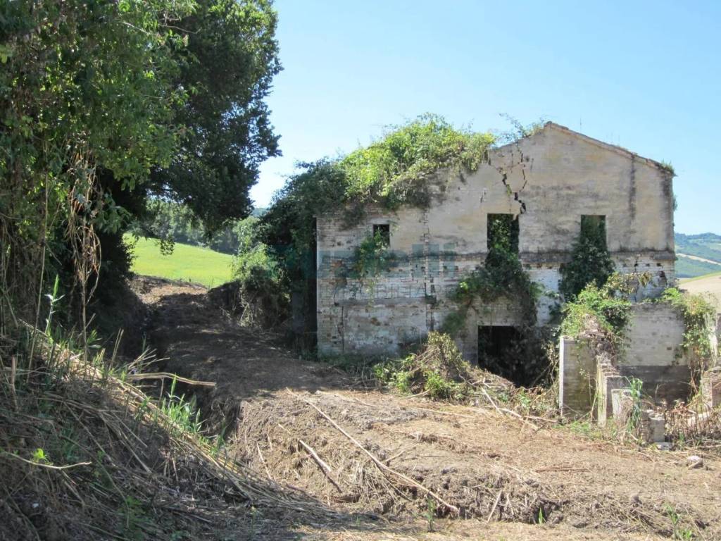 Rustico / casale a Fermo in Sp 206 S.N.C. - Foto 3